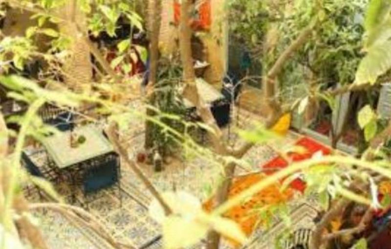 Riad Les Jardins De Kesali Marraquexe Exterior foto